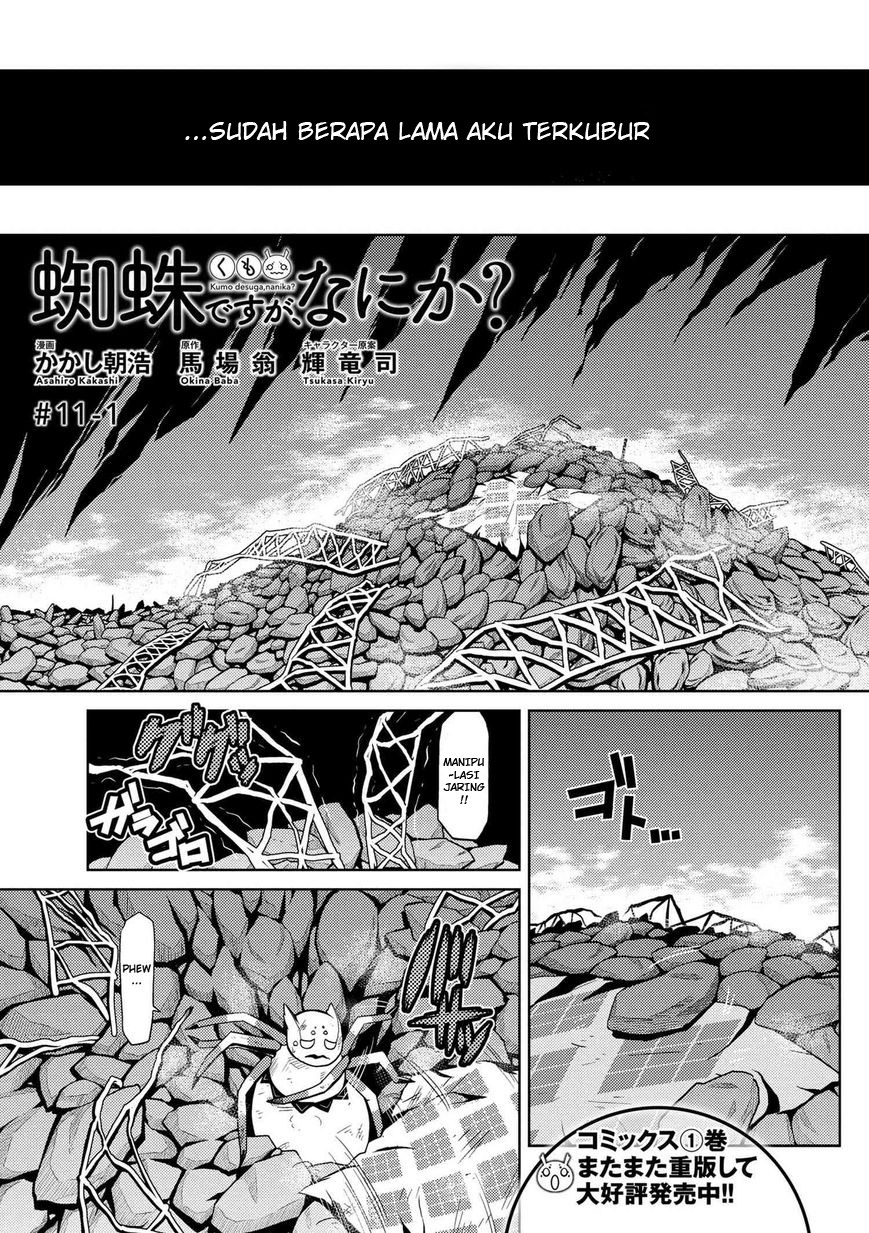 Kumo desu ga, Nani Ka?